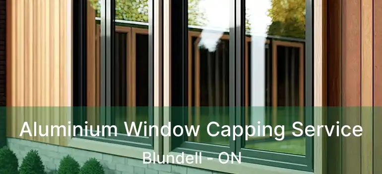  Aluminium Window Capping Service Blundell - ON