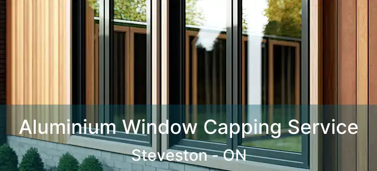  Aluminium Window Capping Service Steveston - ON