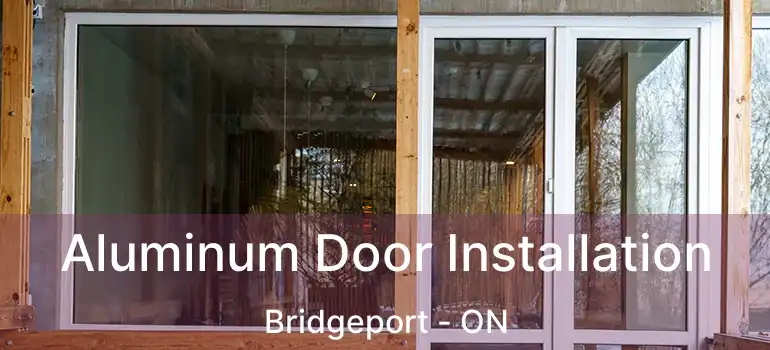  Aluminum Door Installation Bridgeport - ON
