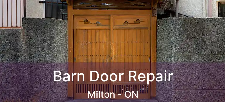  Barn Door Repair Milton - ON