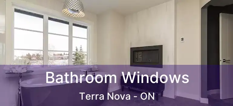  Bathroom Windows Terra Nova - ON