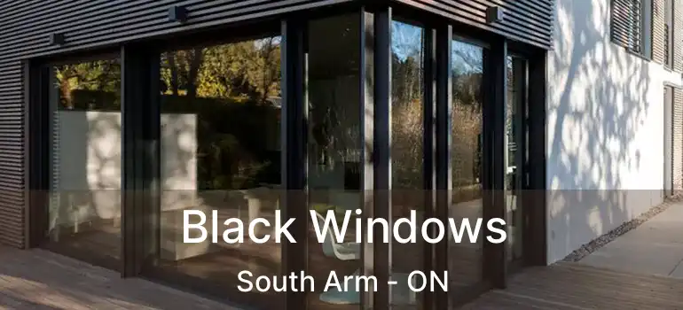  Black Windows South Arm - ON