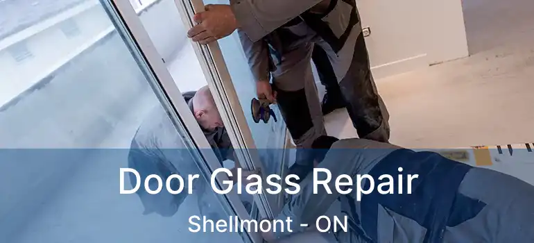  Door Glass Repair Shellmont - ON