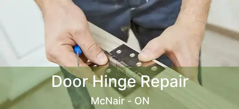  Door Hinge Repair McNair - ON