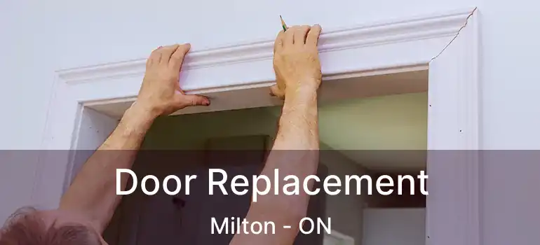  Door Replacement Milton - ON