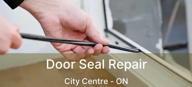  Door Seal Repair City Centre - ON