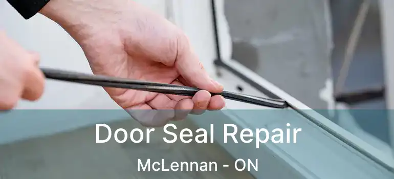  Door Seal Repair McLennan - ON