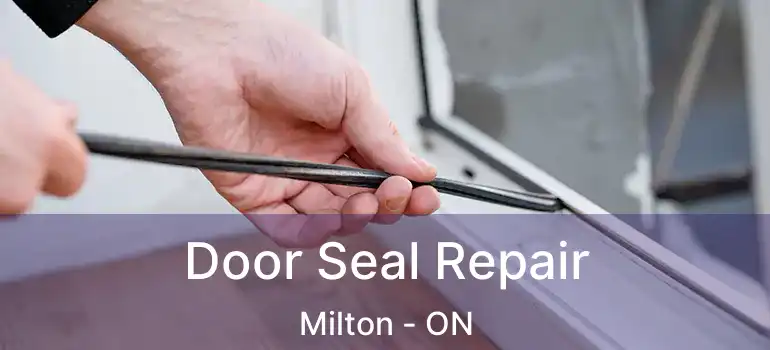  Door Seal Repair Milton - ON
