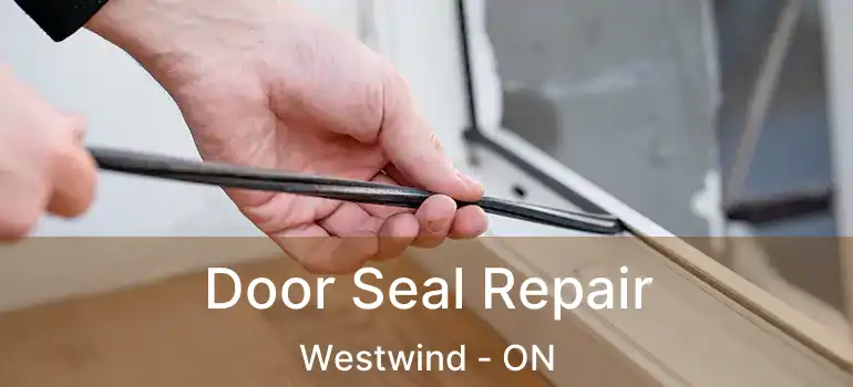  Door Seal Repair Westwind - ON