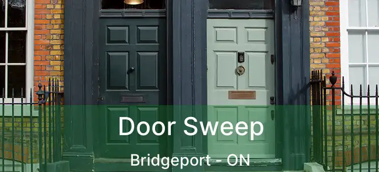  Door Sweep Bridgeport - ON