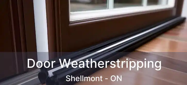  Door Weatherstripping Shellmont - ON