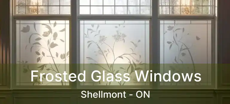 Frosted Glass Windows Shellmont - ON