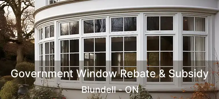  Government Window Rebate & Subsidy Blundell - ON