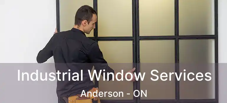  Industrial Window Services Anderson - ON