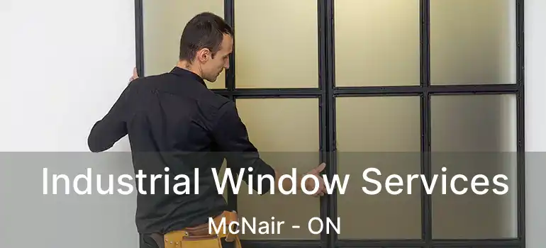  Industrial Window Services McNair - ON