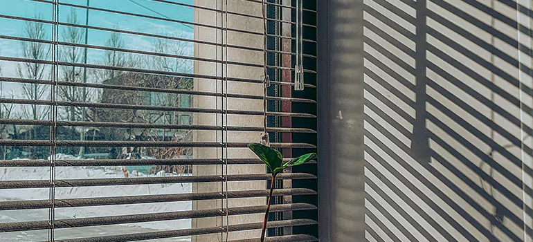 Commercial Window Blinds in Steveston, ON