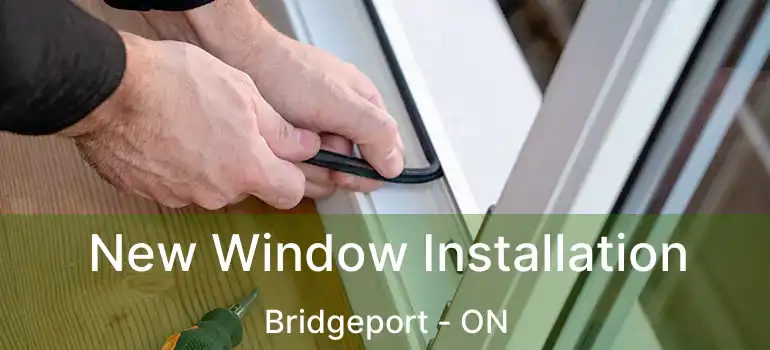  New Window Installation Bridgeport - ON