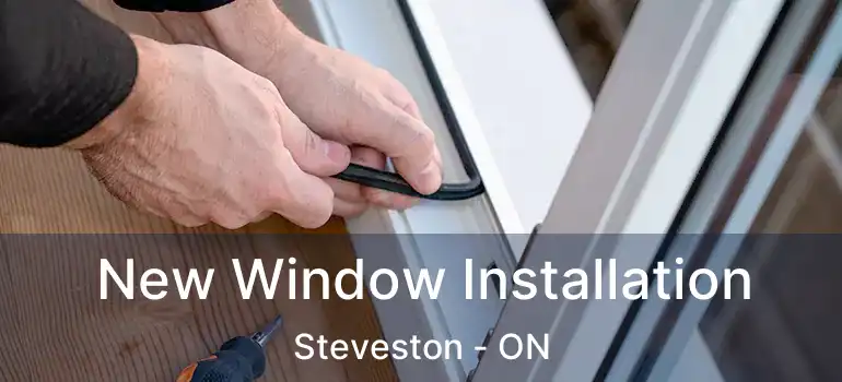  New Window Installation Steveston - ON