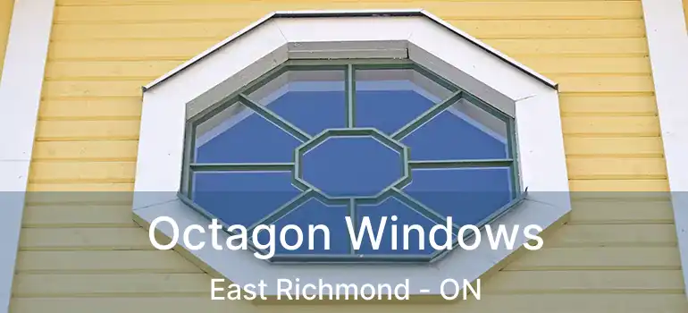  Octagon Windows East Richmond - ON