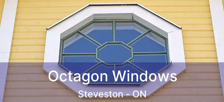  Octagon Windows Steveston - ON