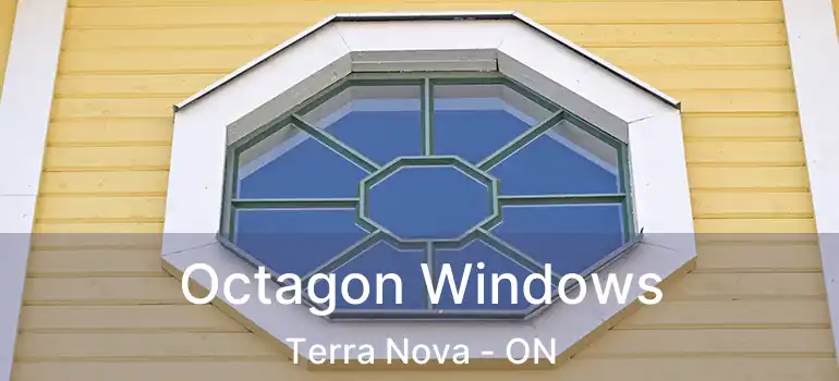  Octagon Windows Terra Nova - ON