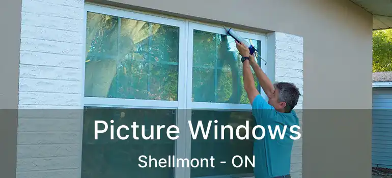  Picture Windows Shellmont - ON