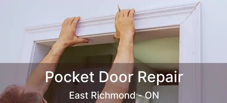  Pocket Door Repair East Richmond - ON