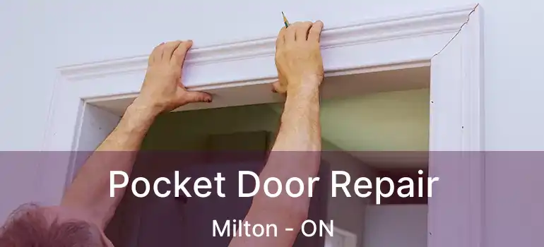  Pocket Door Repair Milton - ON