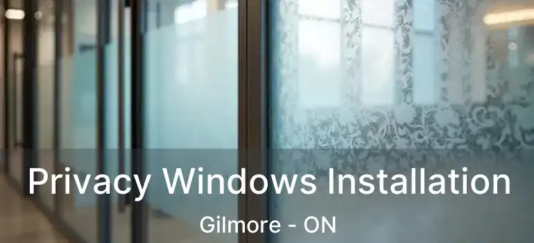  Privacy Windows Installation Gilmore - ON