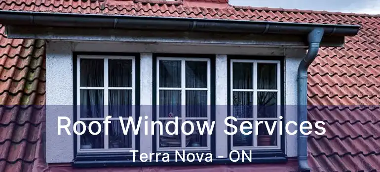  Roof Window Services Terra Nova - ON