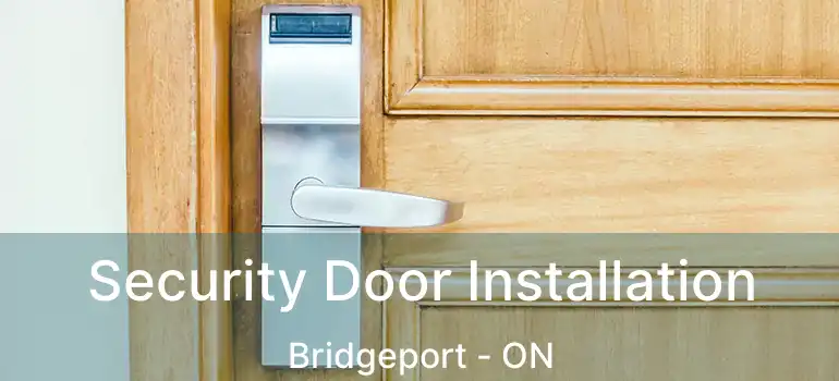  Security Door Installation Bridgeport - ON