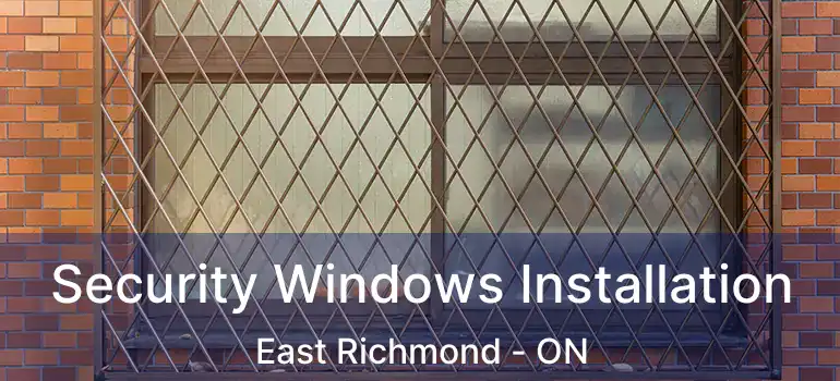  Security Windows Installation East Richmond - ON