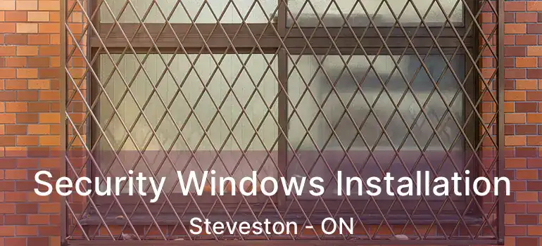  Security Windows Installation Steveston - ON