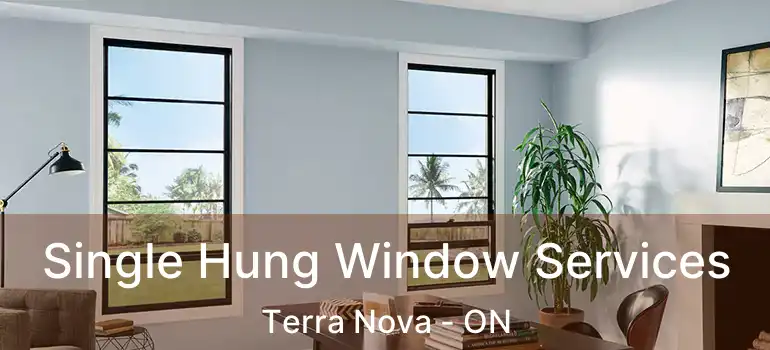  Single Hung Window Services Terra Nova - ON