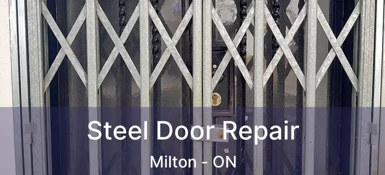  Steel Door Repair Milton - ON