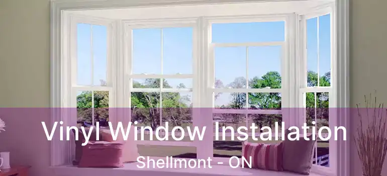  Vinyl Window Installation Shellmont - ON