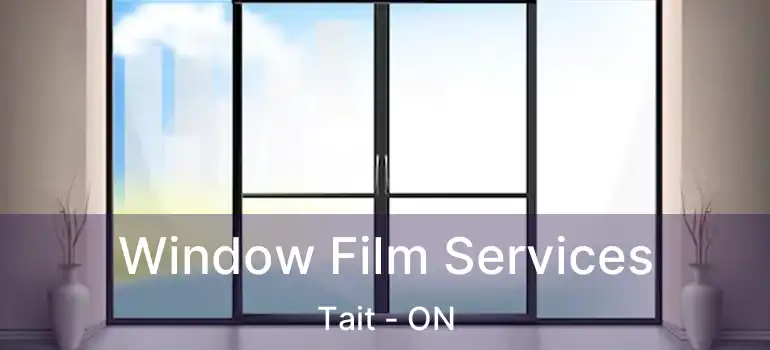  Window Film Services Tait - ON
