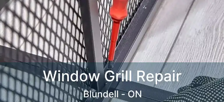  Window Grill Repair Blundell - ON