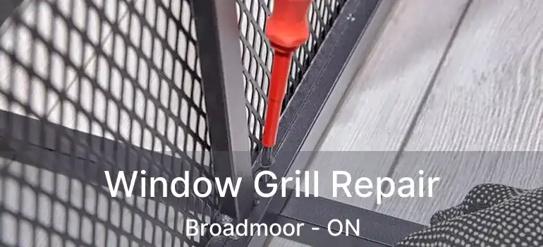  Window Grill Repair Broadmoor - ON