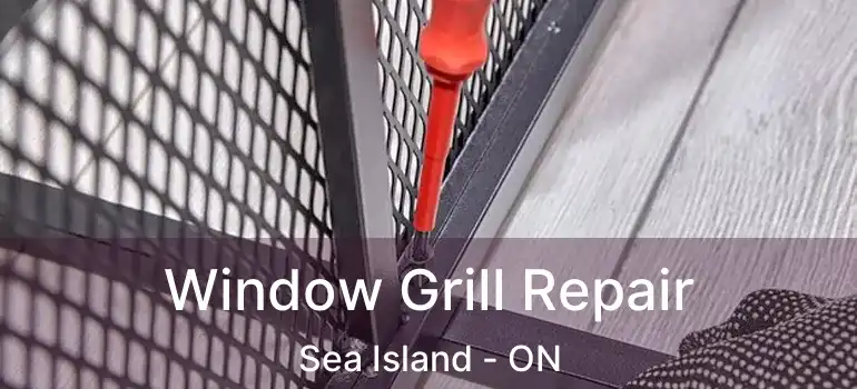  Window Grill Repair Sea Island - ON