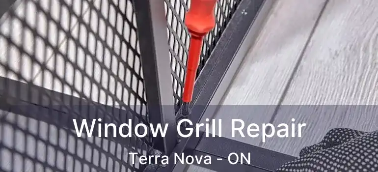  Window Grill Repair Terra Nova - ON