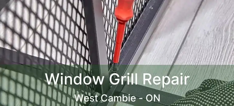  Window Grill Repair West Cambie - ON