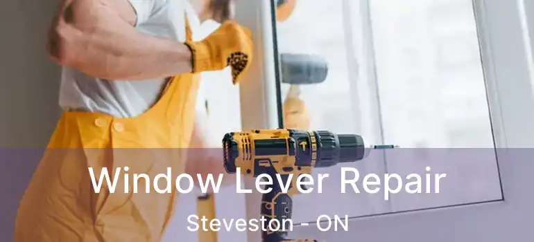  Window Lever Repair Steveston - ON
