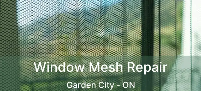  Window Mesh Repair Garden City - ON
