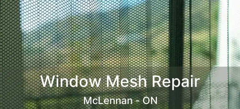 Window Mesh Repair McLennan - ON