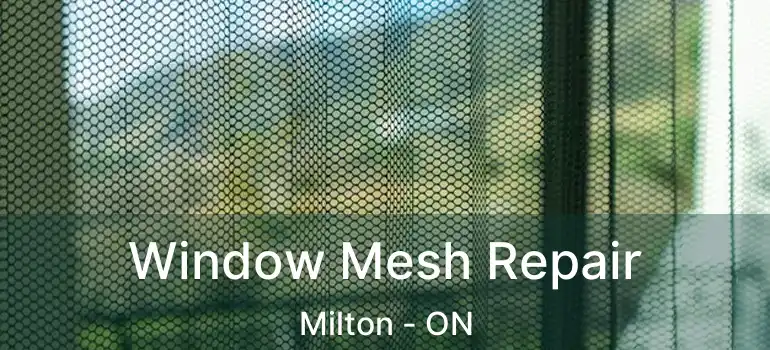  Window Mesh Repair Milton - ON