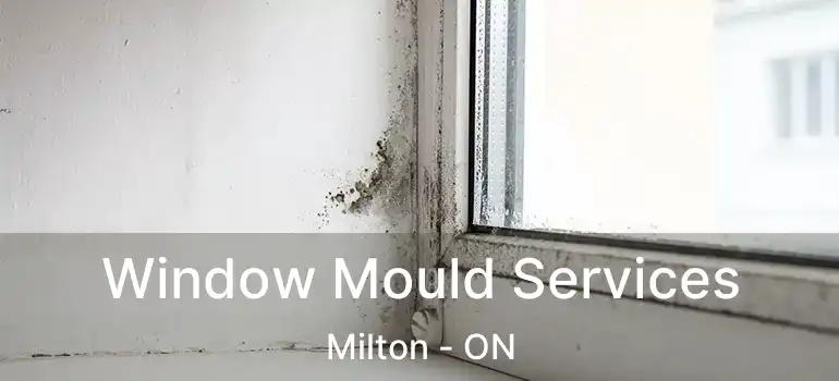 Window Mould Services Milton - ON