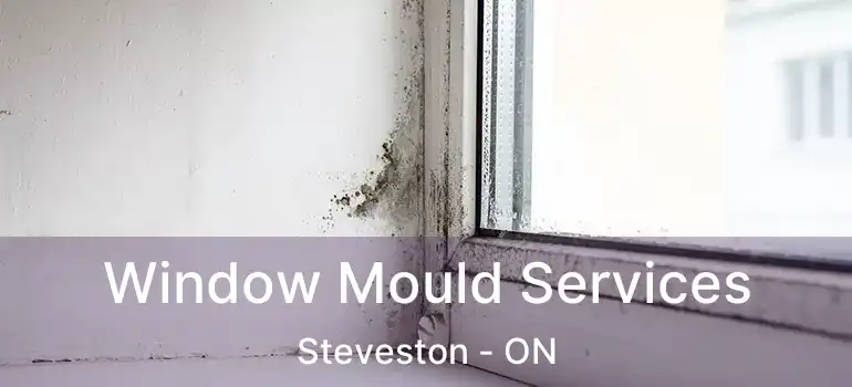  Window Mould Services Steveston - ON