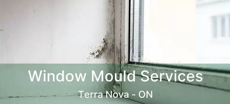  Window Mould Services Terra Nova - ON