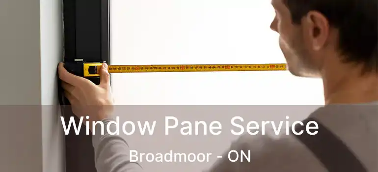  Window Pane Service Broadmoor - ON